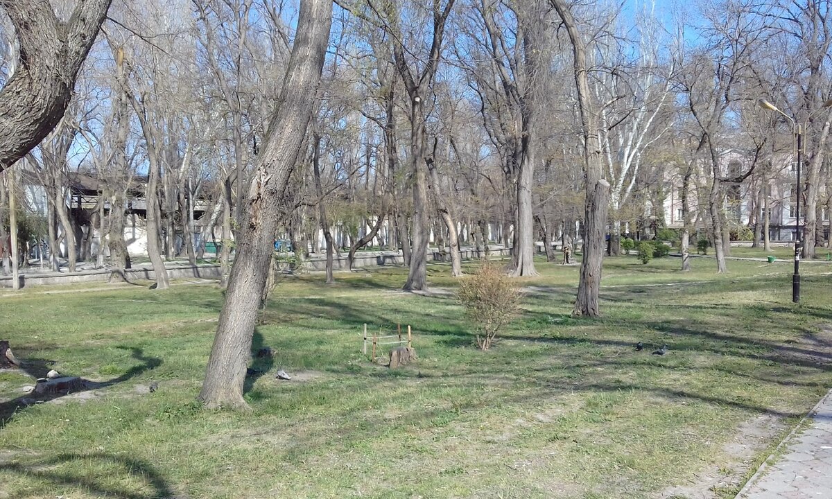 Парк Морсад.