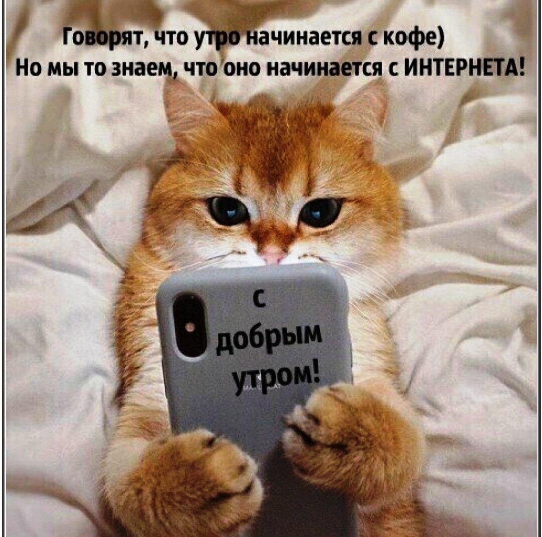 Фото из открытых источников интернета