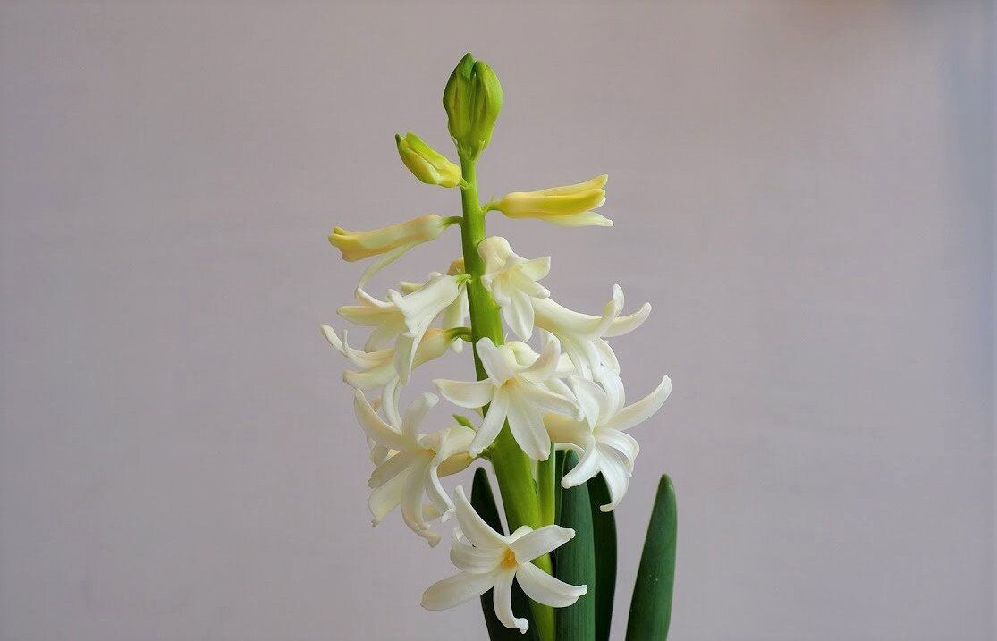 фото с сайта youtube.com