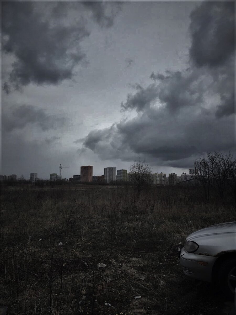   То снег, то ветер, но   уж никак не звезд ночной полет.                                                        Типичное свинцовое московское небо.             Погода заказана для самоизоляции .     Выносила мусор .    (фото мое)