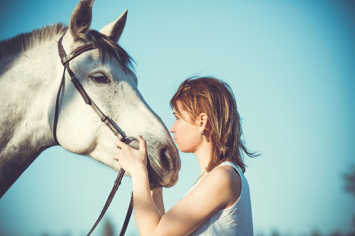 Я и Горизонт.