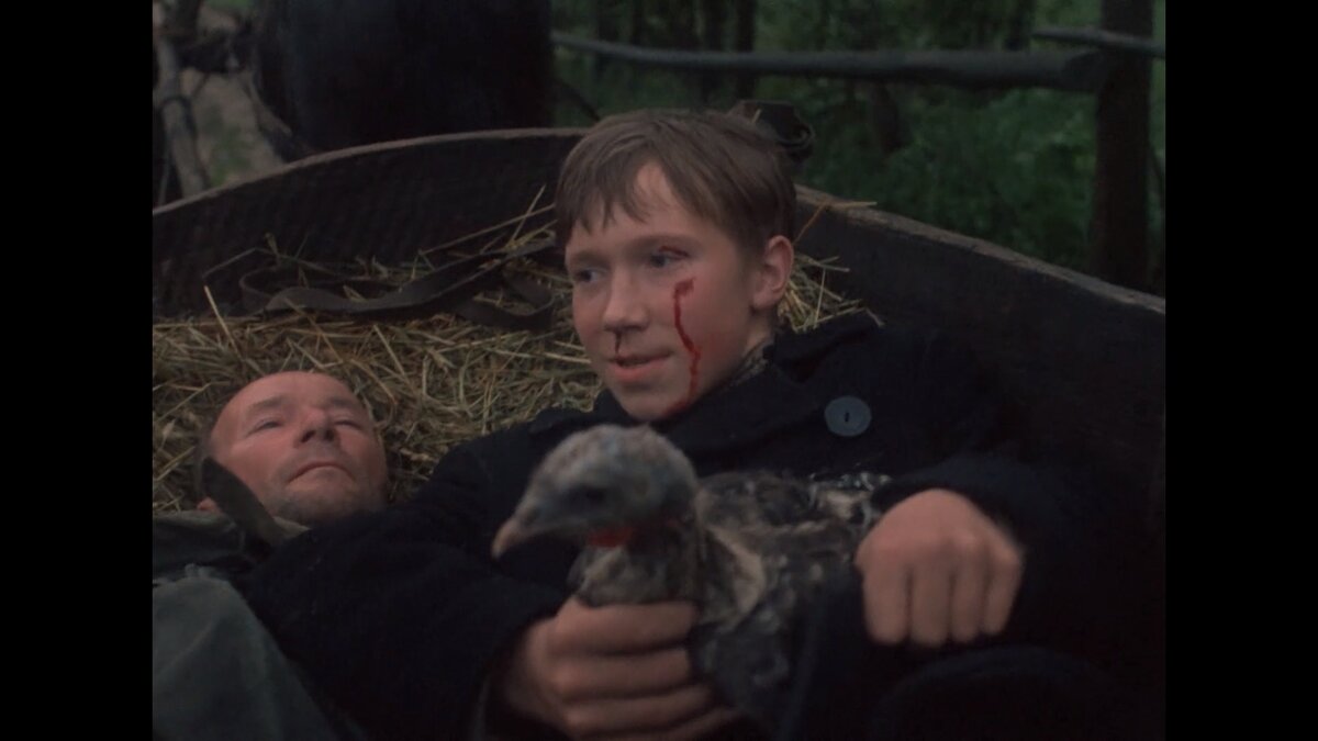 Кадр из фильма "Иди и смотри" 