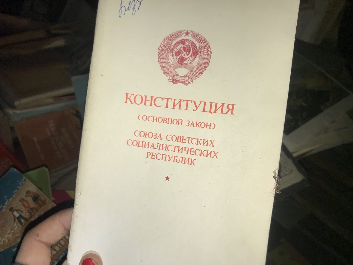 Село в Чернобыле, где недавно жили люди: деревня Лубянка и ее супер сохраны