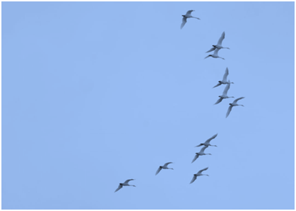 (Фото автора)