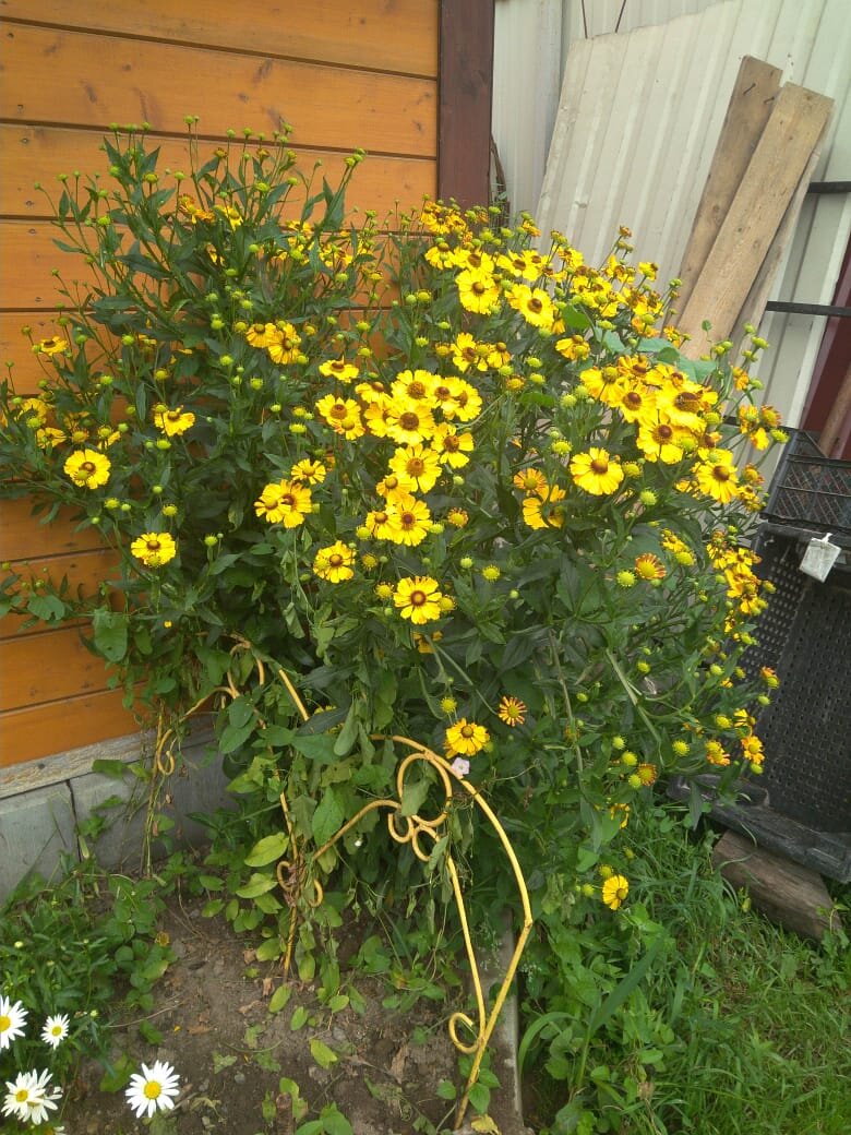 Из личного архива.