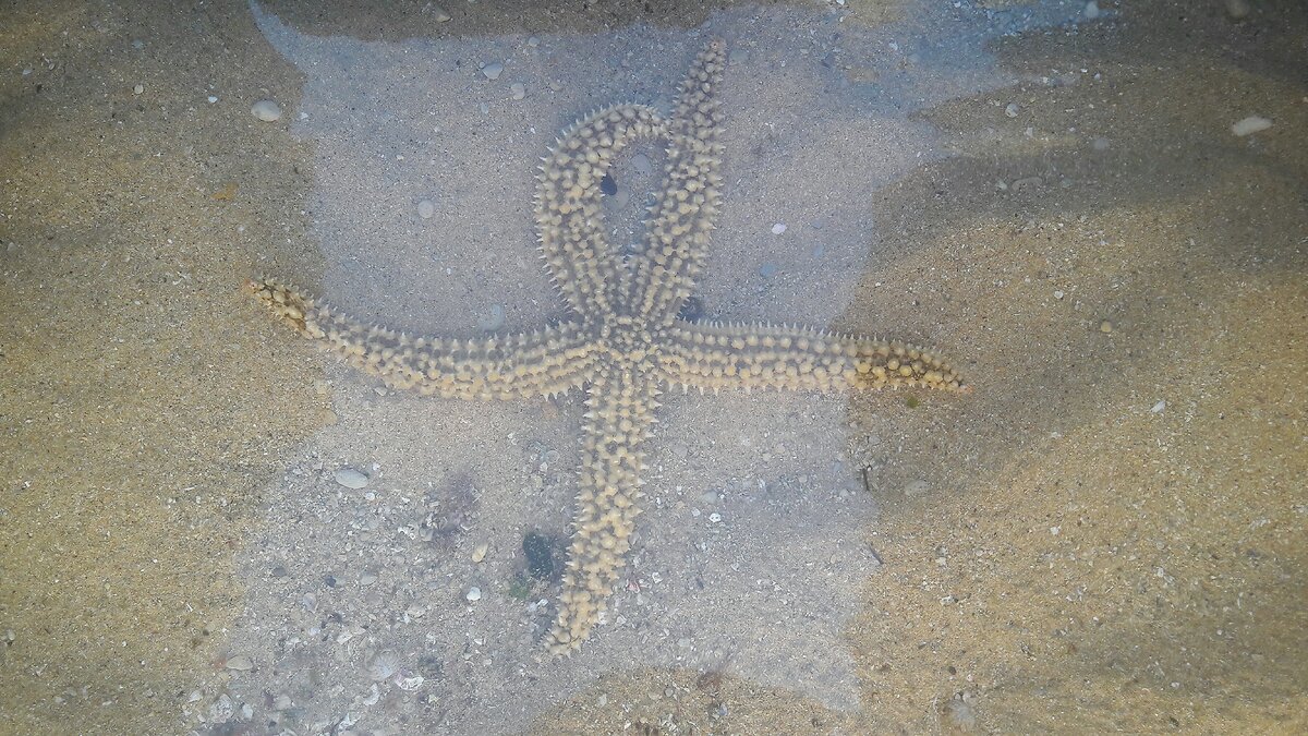 фото из личного фотоархива,сделано мной.