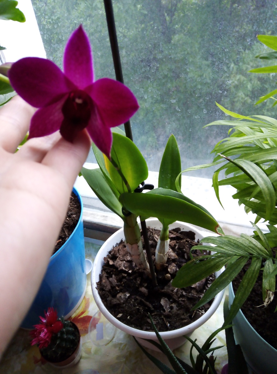 Вот такая красавица😍😍😍