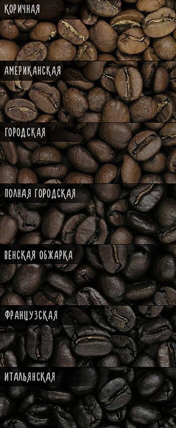 Профессиональная классификация