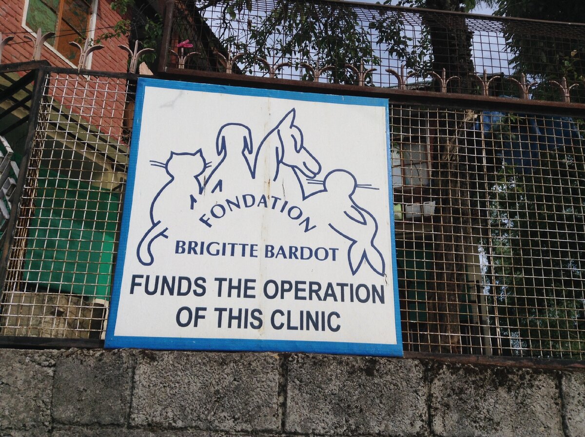 Дарамсала. Индия. Фото из моего архива.