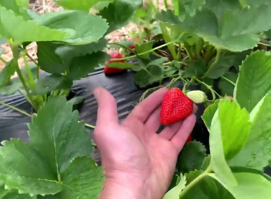 Фото из личного архива автора