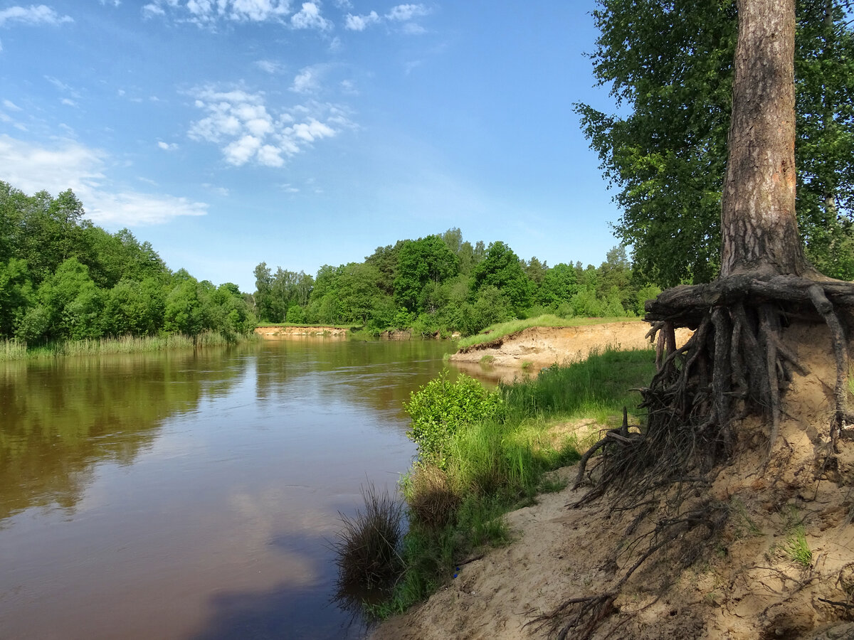 Река киржач фото