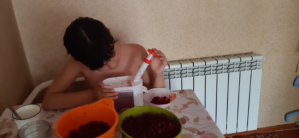 Вынимаем косточки из вишни