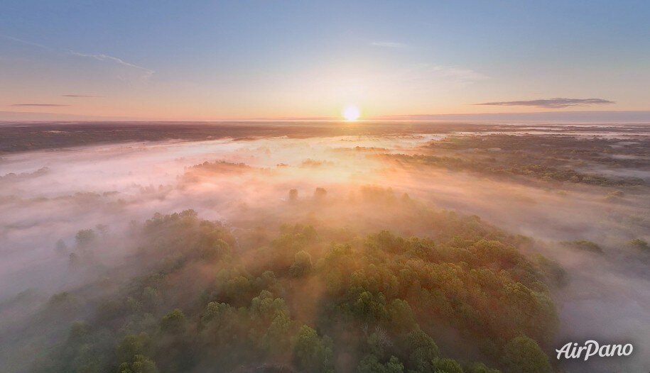 Брянский лес туманным утром