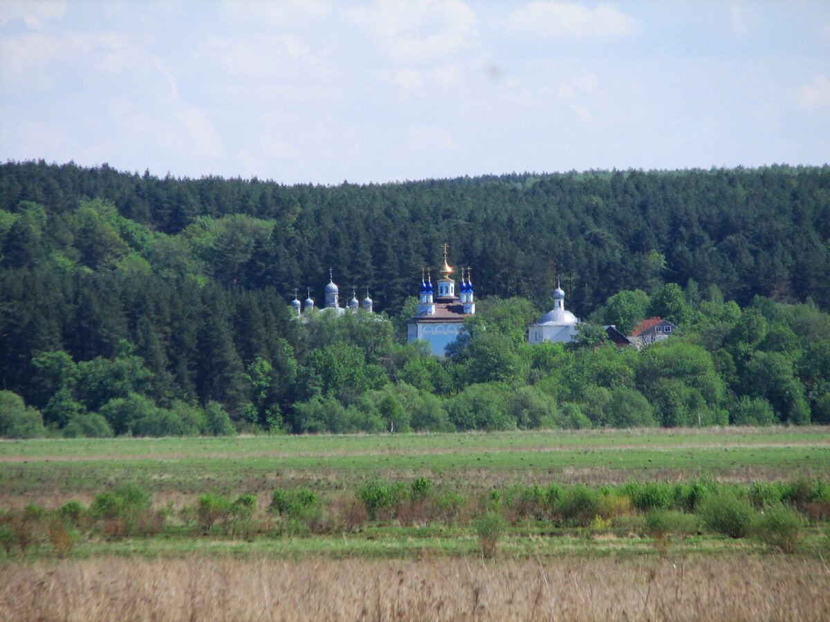 фото из открытых источников.