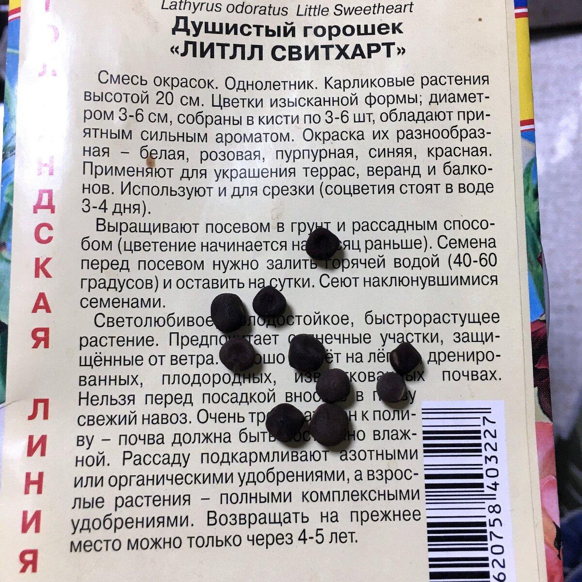 Душистый горошек туговат на всходы. Всему виной - твердая оболочка