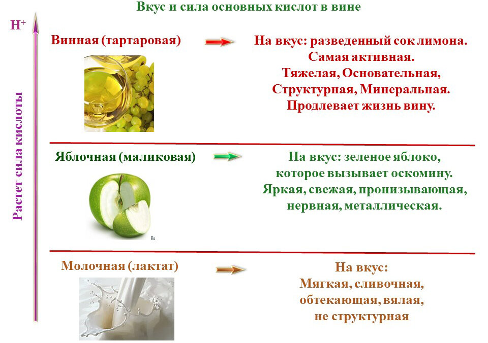 Неприятный запах из влагалища: всё о проблеме