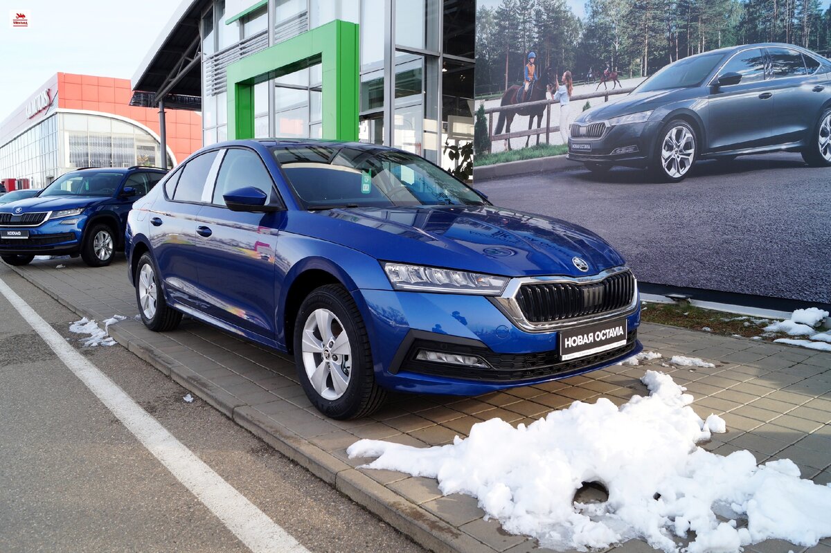 Быстрая запись на удобное время в автосервис Шкода Санрено