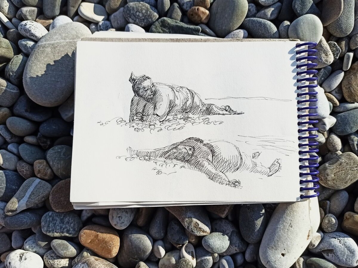 Я уже писала, что обожаю наши пляжи именно за разнообразие  персонажей. Наши  женщины лучшие! Спокойные , уверенные в себе, абсолютно без комплексов