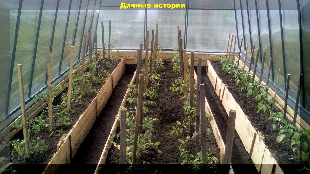 https://vk.com/photo-159774511_457245075