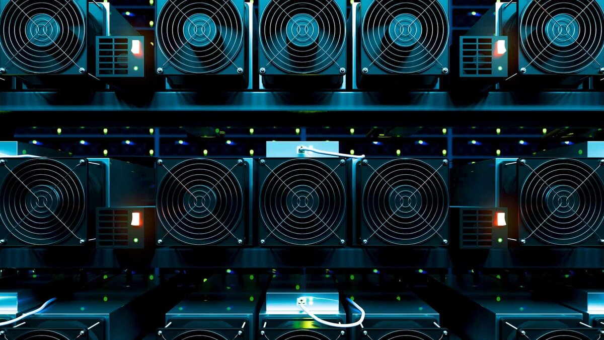 Взято с источника twitter.com