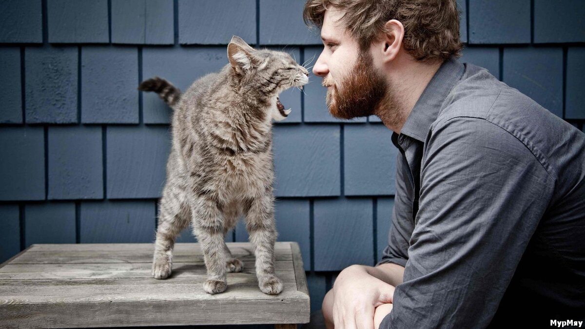 Фото взято из свободного доступа в интернете