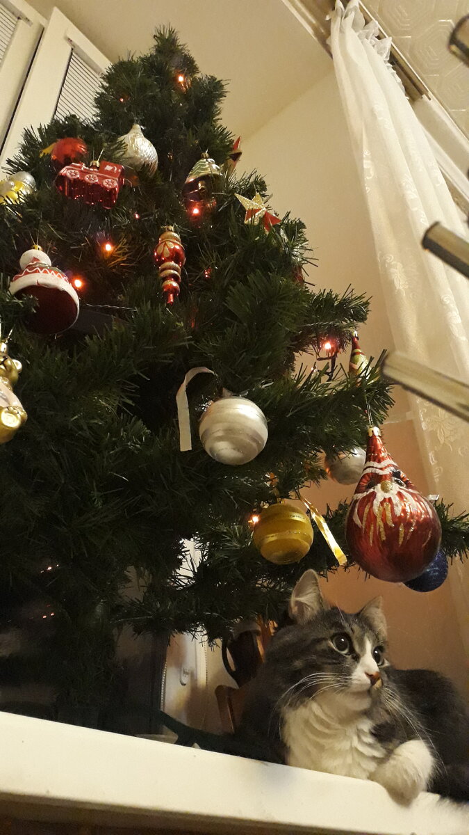 Изделия пластиковые. Не все, Котька плюшевая :)