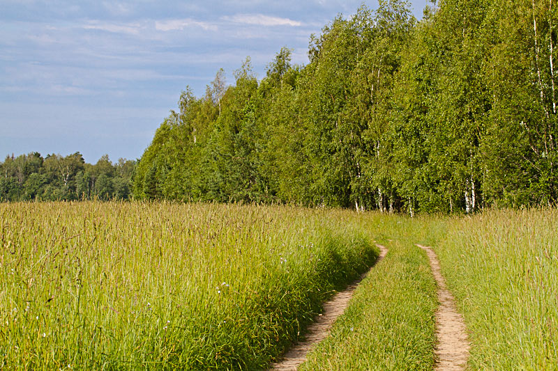 Фото с запахом