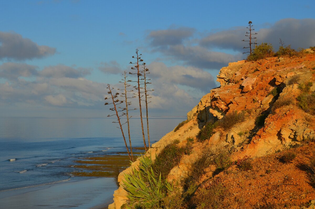 Фото сделано мной 