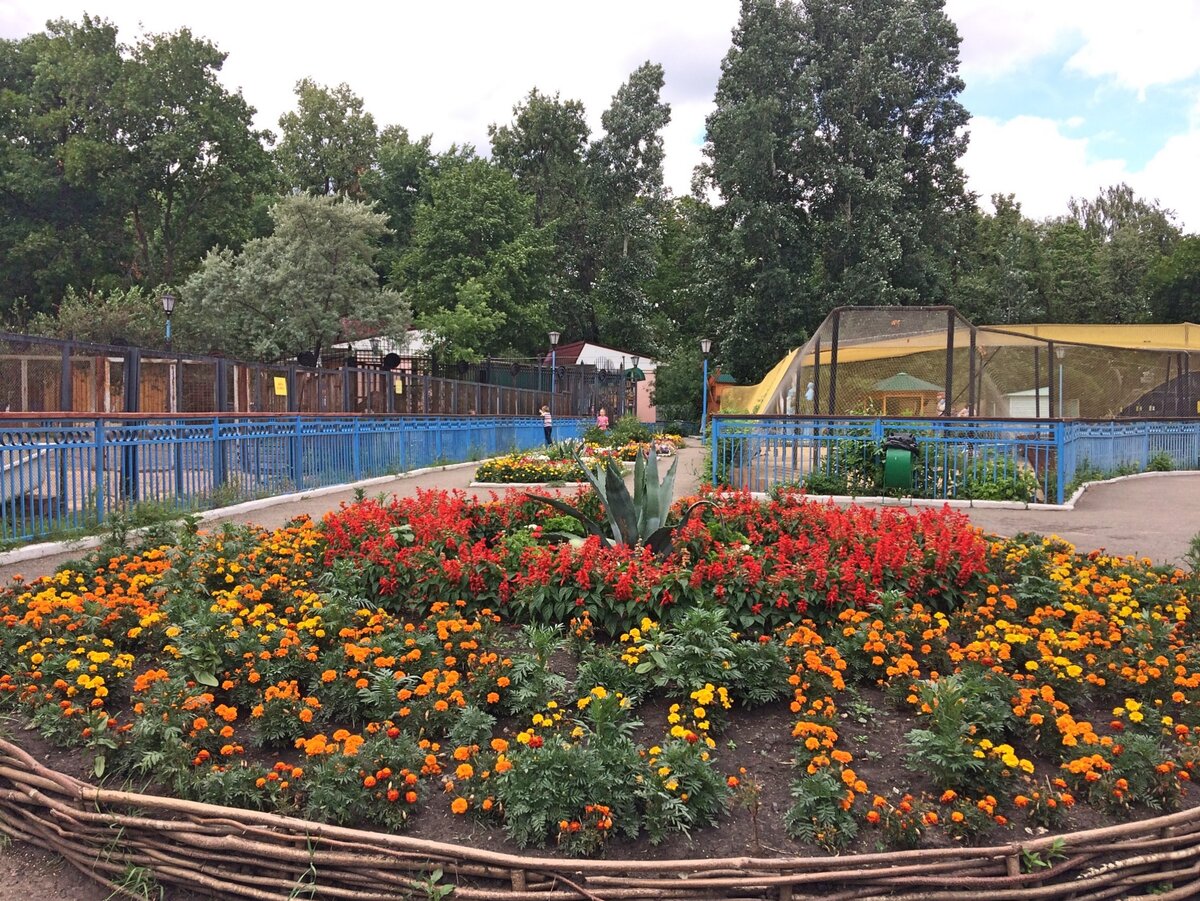 На территории Саранского зоопарка. Фото: © Наталья Воробьева 