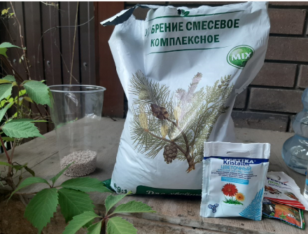 Удобрение для хвойных