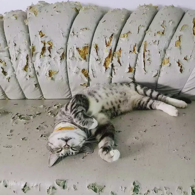 Источник: www.reddit.com