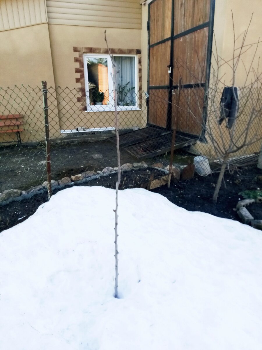 Здесь конец нашего участка и начало соседского