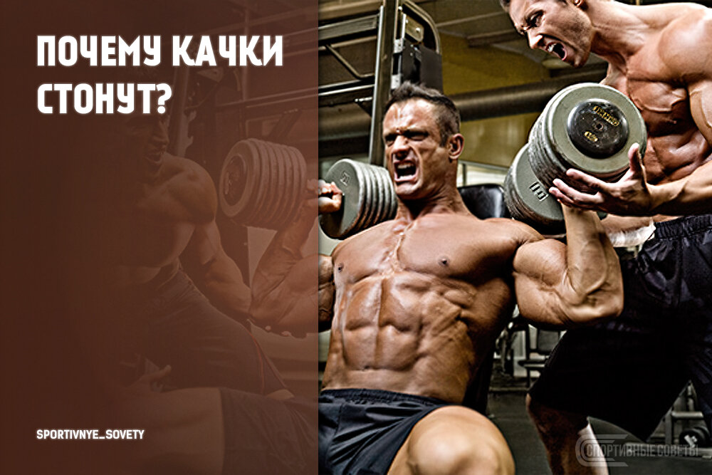 Совет спортсмену