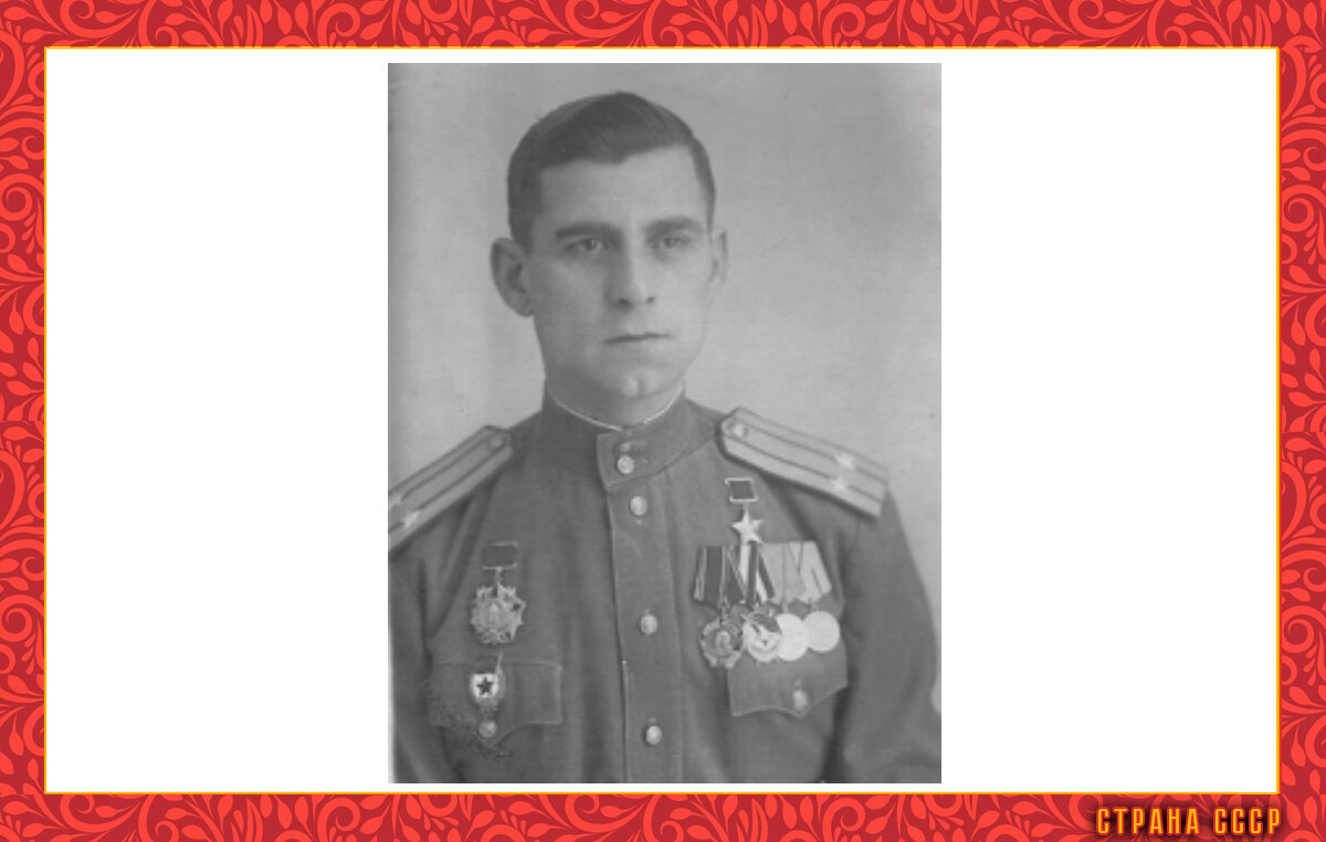 Герой нашей статьи. Фото в свободном доступе