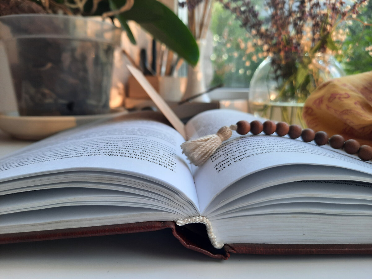 Книга "Арии и мы", автор: Арчи деви даси. "Арии - это тот, кто идёт к Богу"