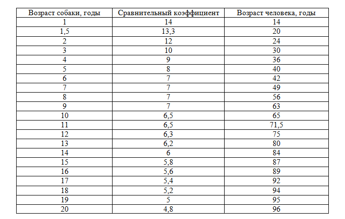 Возраст собаки