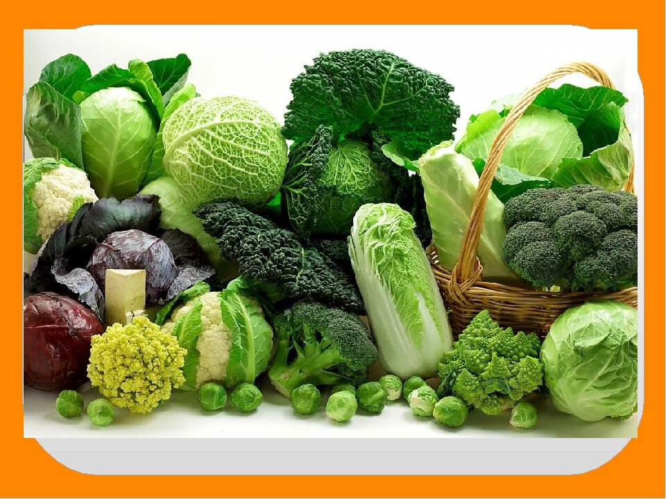 Вот ее сколько