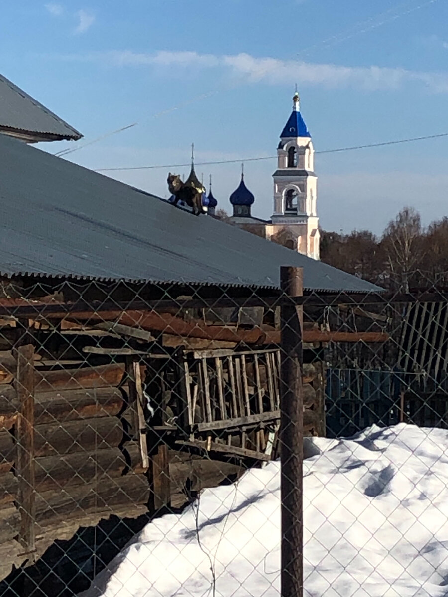 Пурех