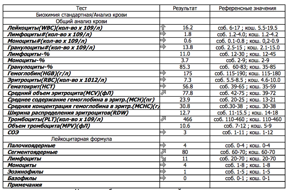 Референсные показатели анализа крови. Общий анализ крови с лейкоцитарной формулой расшифровка. Биохимический анализ крови референс. Общий анализ крови (ОАК) С лейкоцитарной формулой.