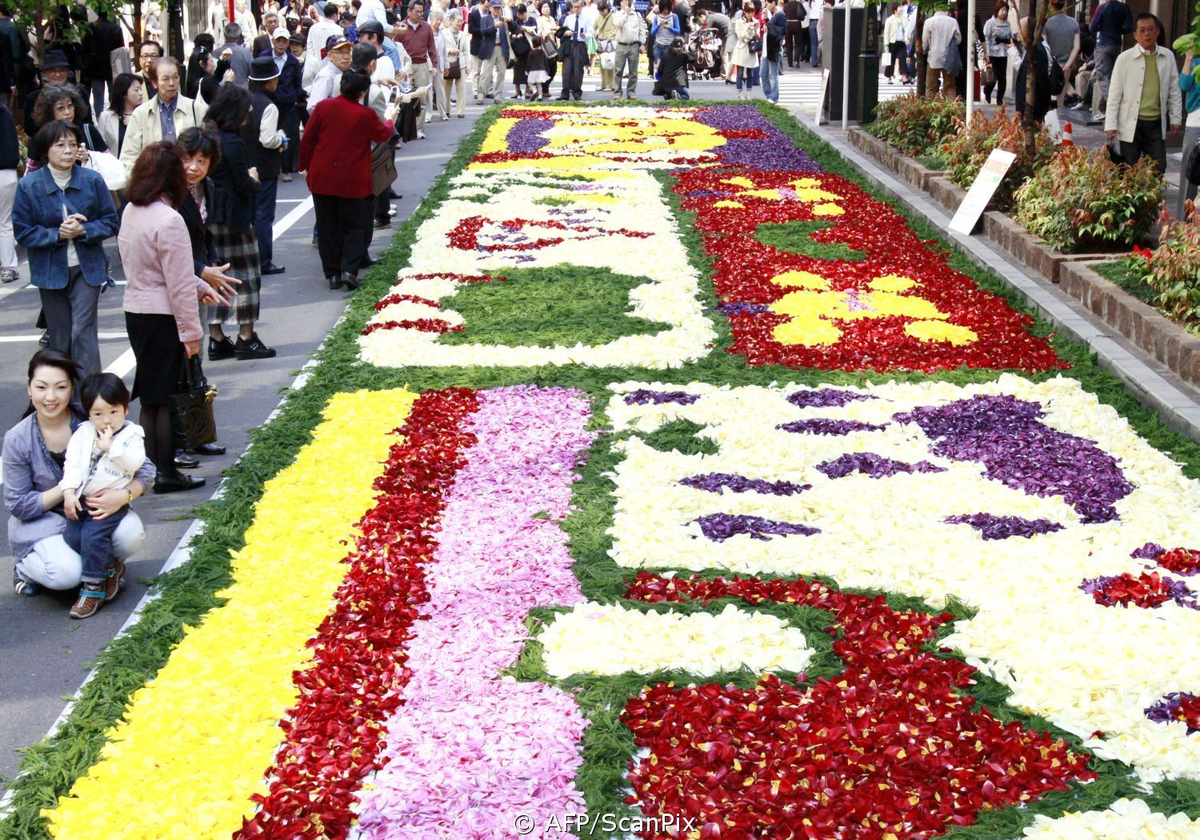 Фестиваль цветов «хана Мацури». Фестиваль цветов (хана Мацури) в Японии. Праздники Японии - фестиваль цветов (хана Мацури). Праздник хризантем в Японии.