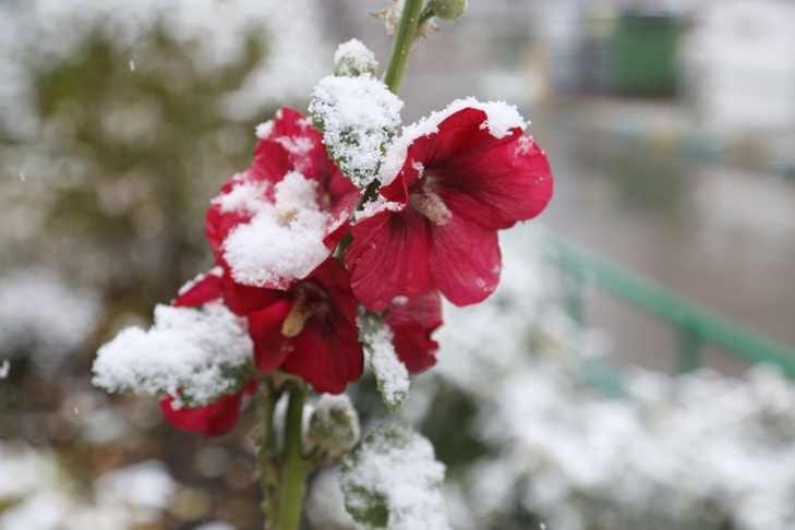    фото VN.ru