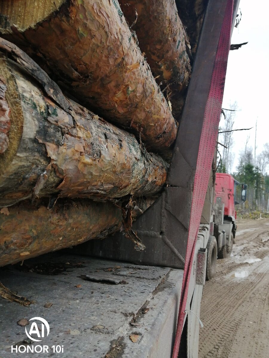 Ничего вам это не напоминает? Есть такой фильм 🤣🤣🤣