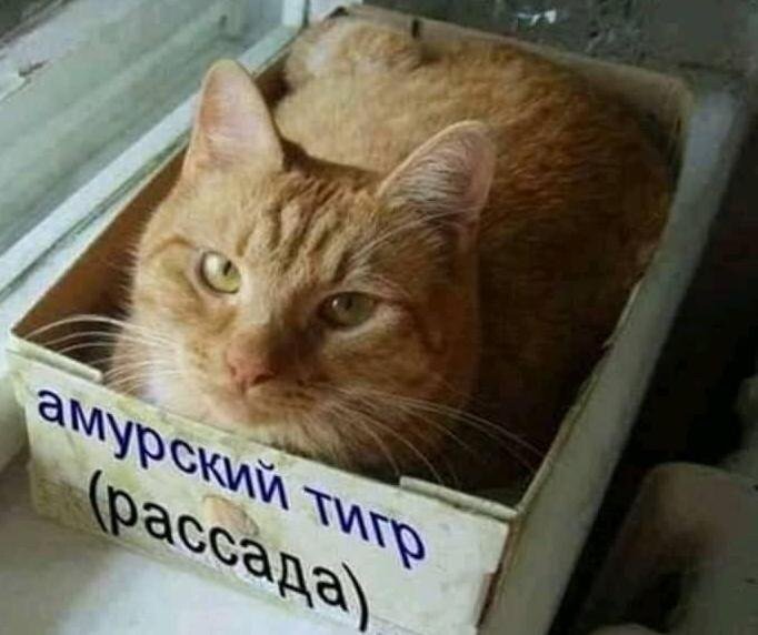 Посмеялся сам - поделись с другом!!!