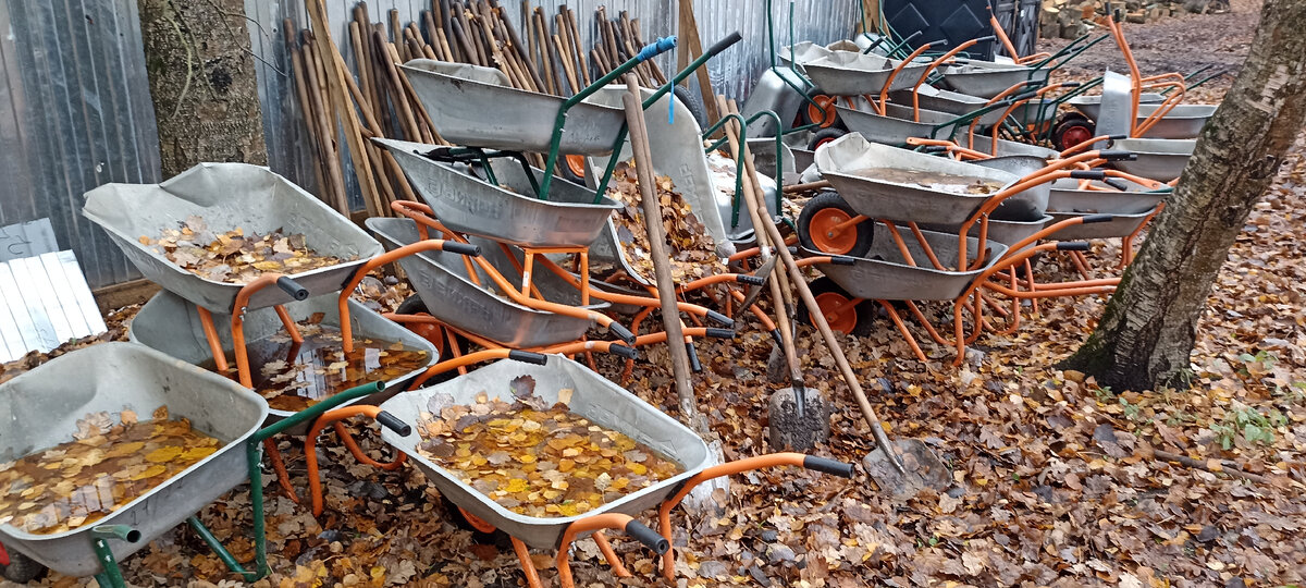 Тачки, которые вывзли на себе 5000 квадратных метров грунта лежат там е где их оставили в сентябре