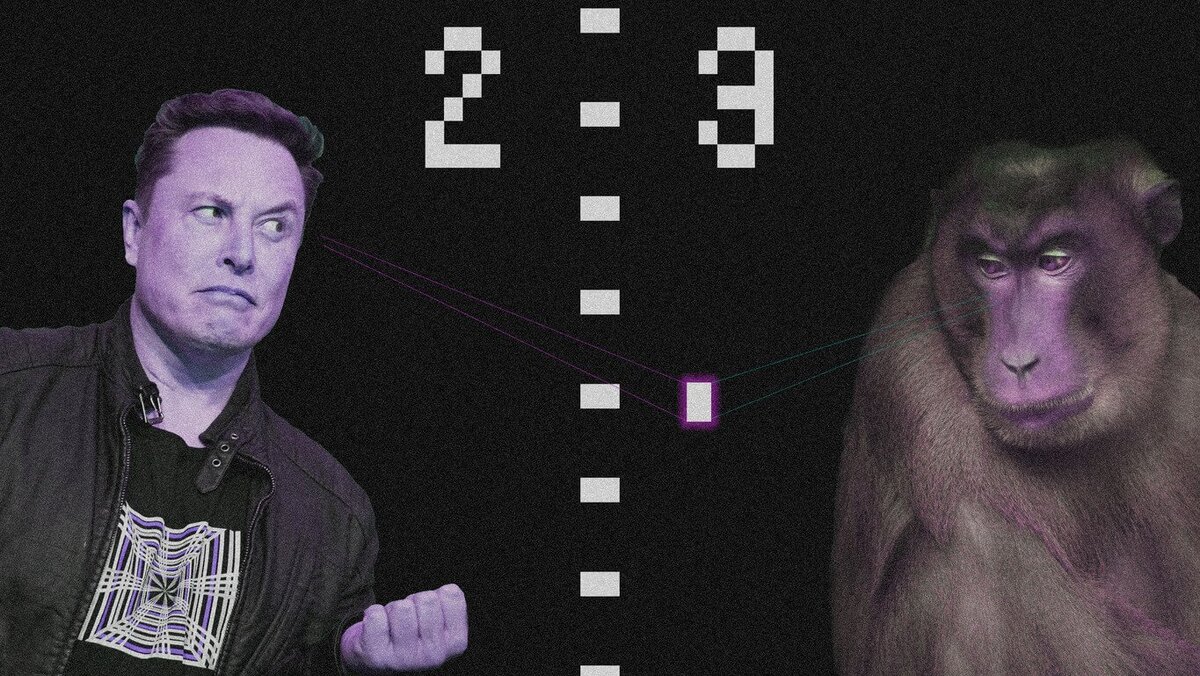    Neuralink Илона Маска готовится к тестированию мозгового имплантата Link на людях в 2023 году