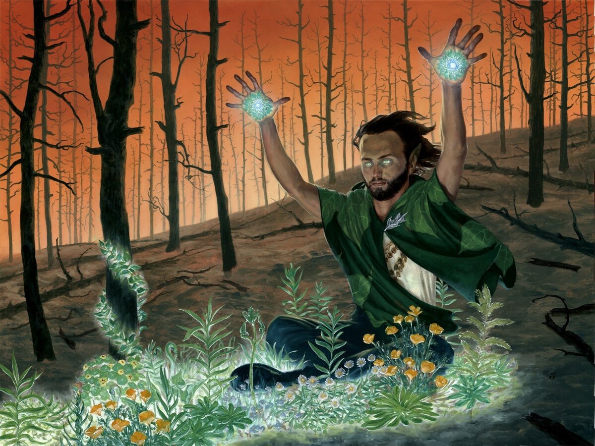 Художник Randy Gallegos