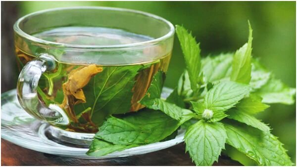 Зелёный чай с мятой 