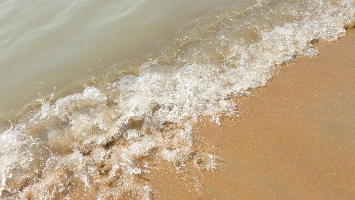     Амурский тигр, загрызший собаку в поселке Дунай Приморского края, решил прогуляться по берегу моря. Большие следы от его лап обнаружили местные жители — хищника пытаются отловить.