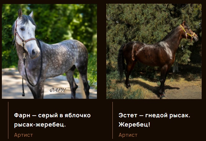 Скриншот с сайта театра