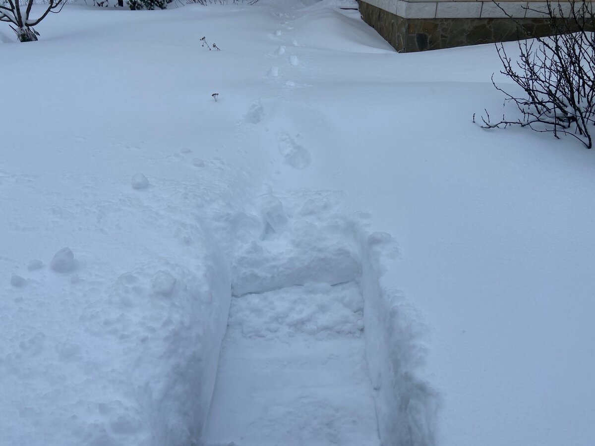 Следы видите? От дома к сараю ведут. Надо ведь лопату взять!